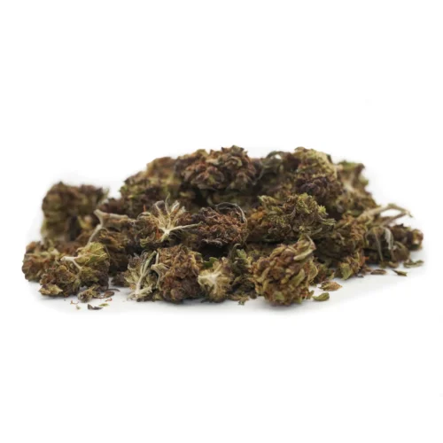 Mini Buds CBD Black Panther Naturwest