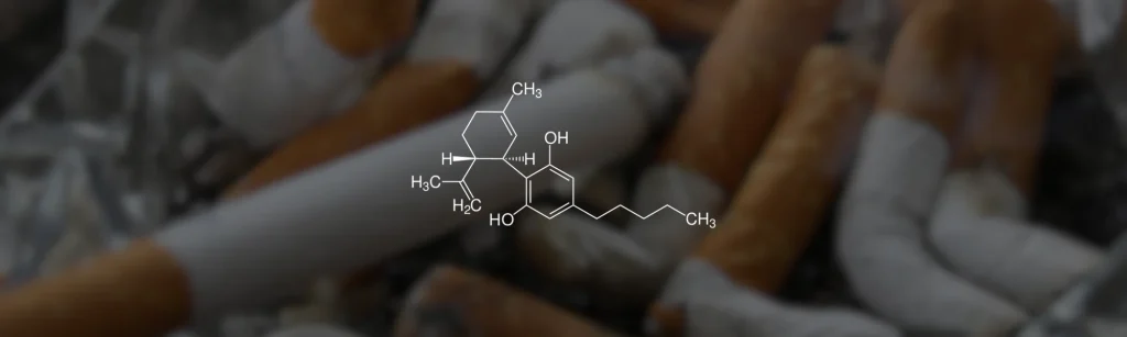 CBD tabaquismo
