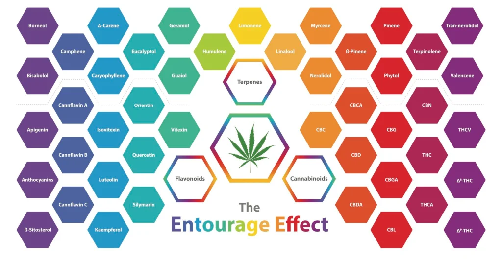 efecto sequito efecto sequito