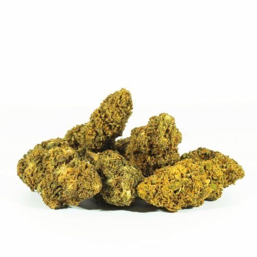 Amnesia OG OnlyCBDFans