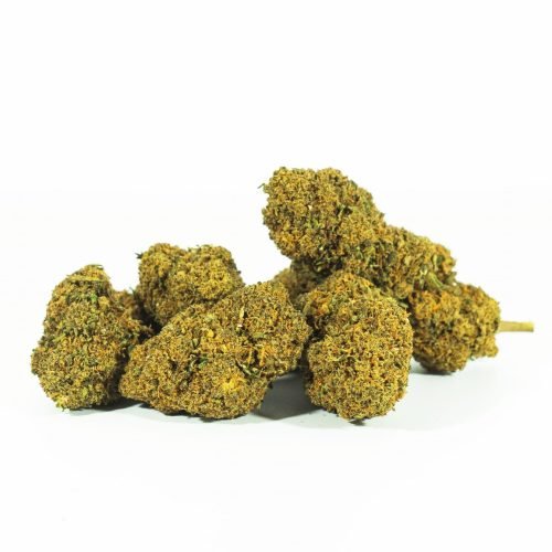 Mango Kush OnlyCBDFans