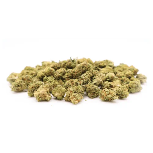 Orange Sherbet Mini Buds CBD Indoor Naturwest