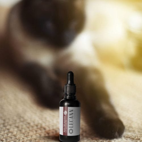 Aceite de CBD 5% Full Spectrum para mascotas Lecann 10 ml