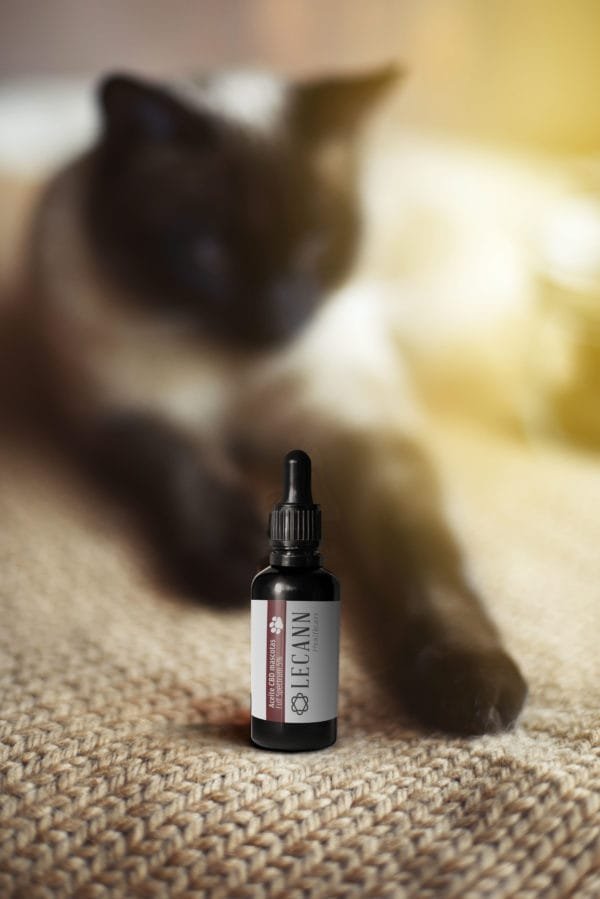 Aceite de CBD 5% Full Spectrum para mascotas Lecann 10 ml