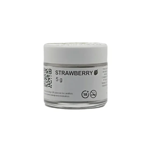 Cogollos CBD Strawberry glasshouse Mariajoana