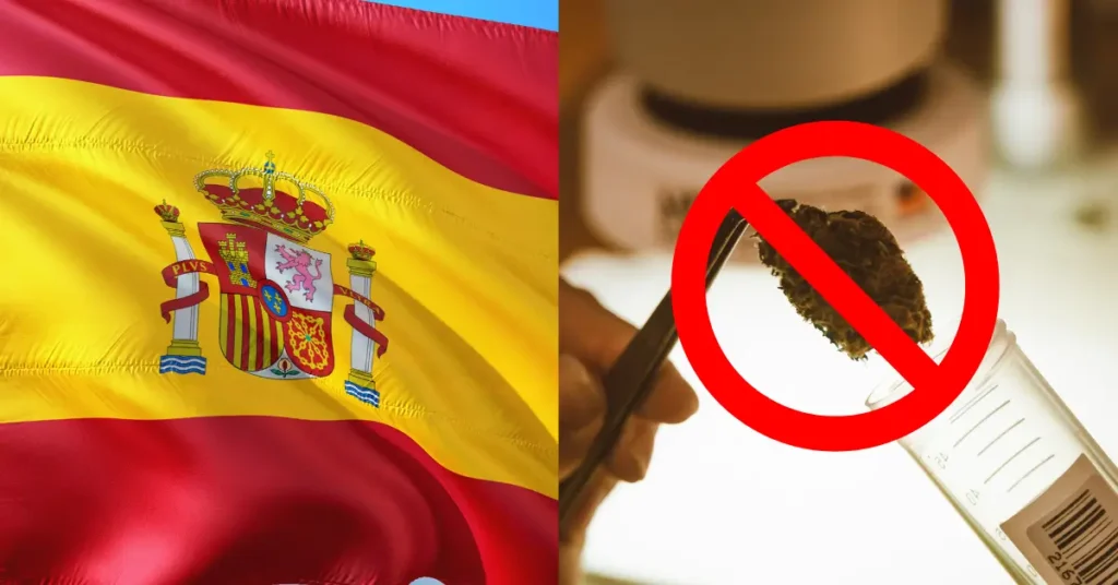 hhc prohibido en espana hhc prohibido en españa