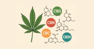 nuevos cannabinoides cbg cbn cbc cbdv