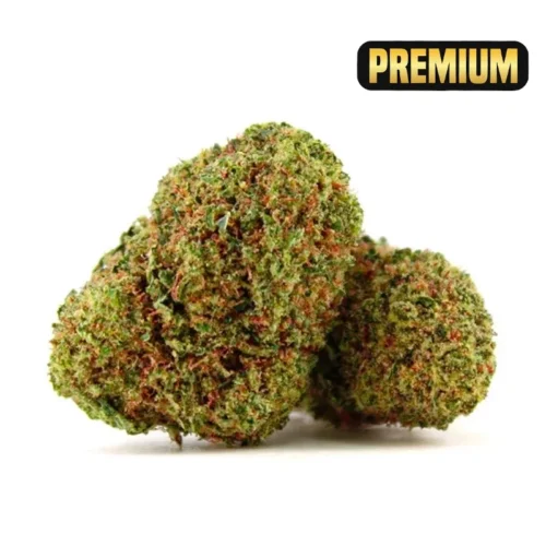 Wedding cake cogollos CBD indoor