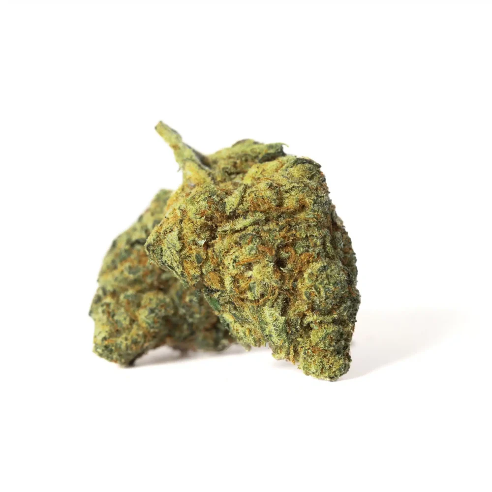 Amnesia Hy Pro CBD Hidropónico Indoor Naturwest