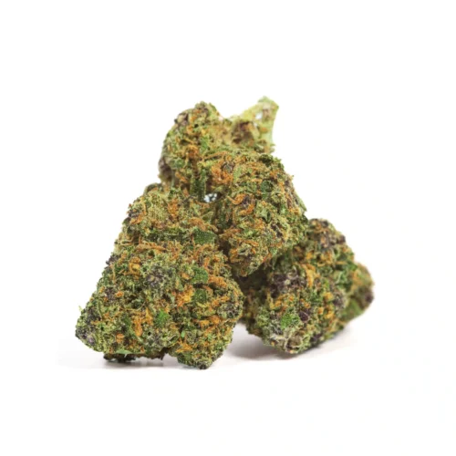 Purple CBD Hidropónico Indoor Naturwest