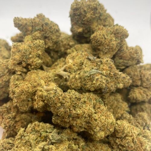 Girl Scout Cookies indoor Girl Scout Cookies indoor