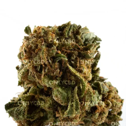 Golden Nuggets punta OnlyCBD