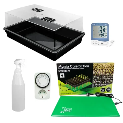 Kit cultivo pan de setas mágicas