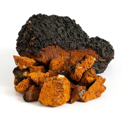 Alternative view of Extracto de hongo chaga 30 ml concentrado